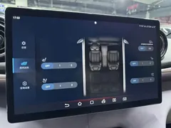 2024 BYD Dolphin Honor 420km Fashion — фото 10
