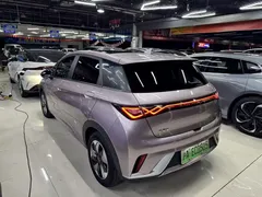 2024 BYD Dolphin Honor 420km Fashion — фото 11