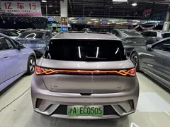 2024 BYD Dolphin Honor 420km Fashion — фото 12