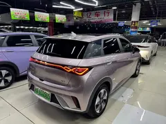 2024 BYD Dolphin Honor 420km Fashion — фото 13