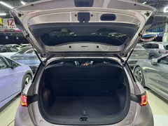2024 BYD Dolphin Honor 420km Fashion — фото 14