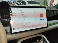 2025 BYD Sealion 06 DM-i PHEV 205 Pro — фото 13