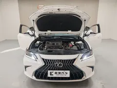 2022 Lexus ES 200 Excellence, белый — фото 15