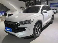 2023 BYD Song Pro Champion DM-i PHEV 71km Exceed, белый — фото 1