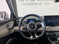 2023 BYD Yuan PLUS Champion 510km Leading — фото 6