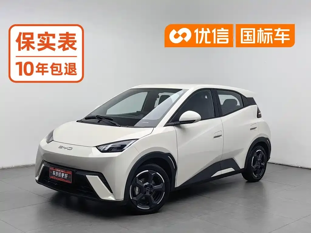 2023 BYD Seagull Flying