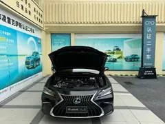 2021 Lexus ES 300h Hybrid Premium, чёрный — фото 8