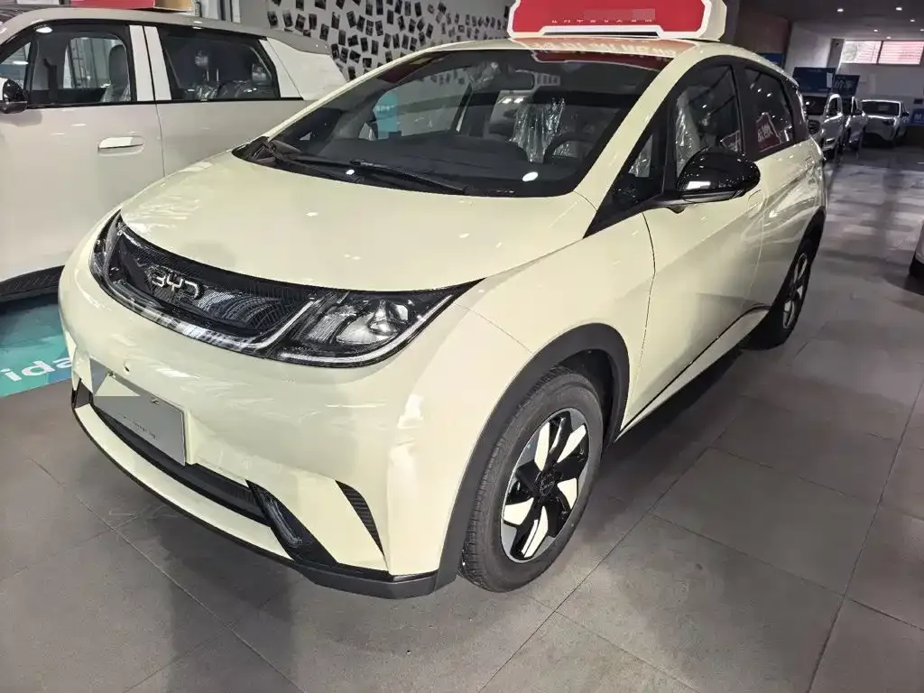 2025 BYD Dolphin Smart Driving 420km Freedom EV
