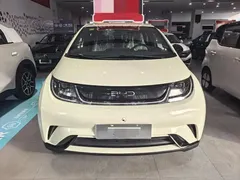 2025 BYD Dolphin Smart Driving 420km Freedom EV — фото 2