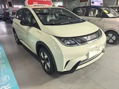 2025 BYD Dolphin Smart Driving 420km Freedom EV — фото 3