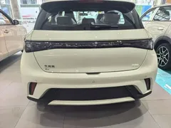 2025 BYD Dolphin Smart Driving 420km Freedom EV — фото 4