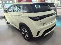2025 BYD Dolphin Smart Driving 420km Freedom EV — фото 5