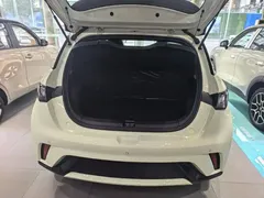 2025 BYD Dolphin Smart Driving 420km Freedom EV — фото 9