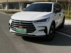 2023 BYD Tang DM-i PHEV Champion 112KM Premium, белый — фото 1