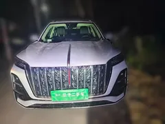 2023 Hongqi HS5 2.0T 4WD Qixiang Pro — фото 2