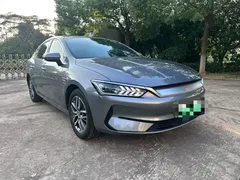 2021 BYD Qin PLUS EV 400KM Luxury — фото 3