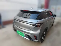 2023 BYD Dolphin 420km Freedom — фото 4