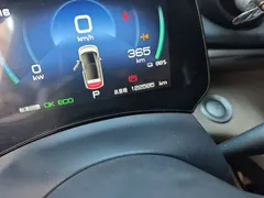 2023 BYD Dolphin 420km Freedom — фото 8