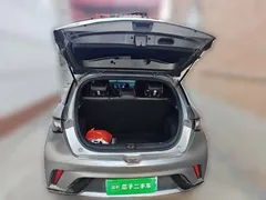 2023 BYD Dolphin 420km Freedom — фото 15