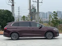 2022 Volkswagen Viloran 380TSI Premium — фото 11
