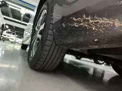 2022 Changan Eado PLUS 1.6L GDI CVT Luxury — фото 22