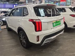2021 Kia Sportage Ace 2.0L Challenge, белый — фото 5