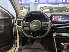 2021 Kia Sportage Ace 2.0L Challenge, белый — фото 11