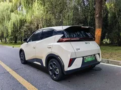 2024 BYD Seagull EV 305km Honor Freedom, белый — фото 2