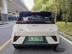 2024 BYD Seagull EV 305km Honor Freedom, белый — фото 3