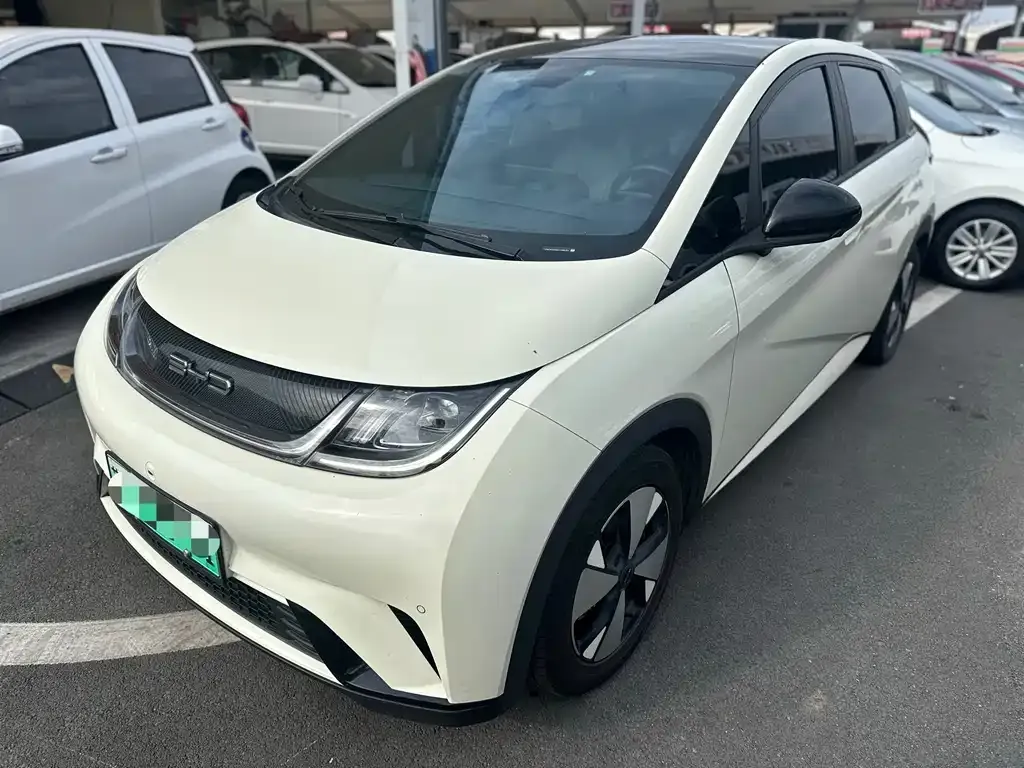 2023 BYD Dolphin 420km Fashion