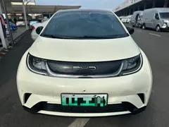 2023 BYD Dolphin 420km Fashion, белый — фото 2