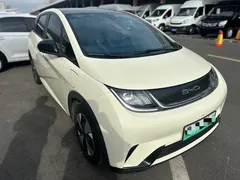 2023 BYD Dolphin 420km Fashion, белый — фото 3