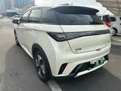 2023 BYD Dolphin 420km Fashion, белый — фото 15