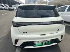 2023 BYD Dolphin 420km Fashion, белый — фото 16