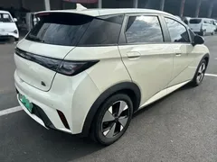 2023 BYD Dolphin 420km Fashion, белый — фото 17