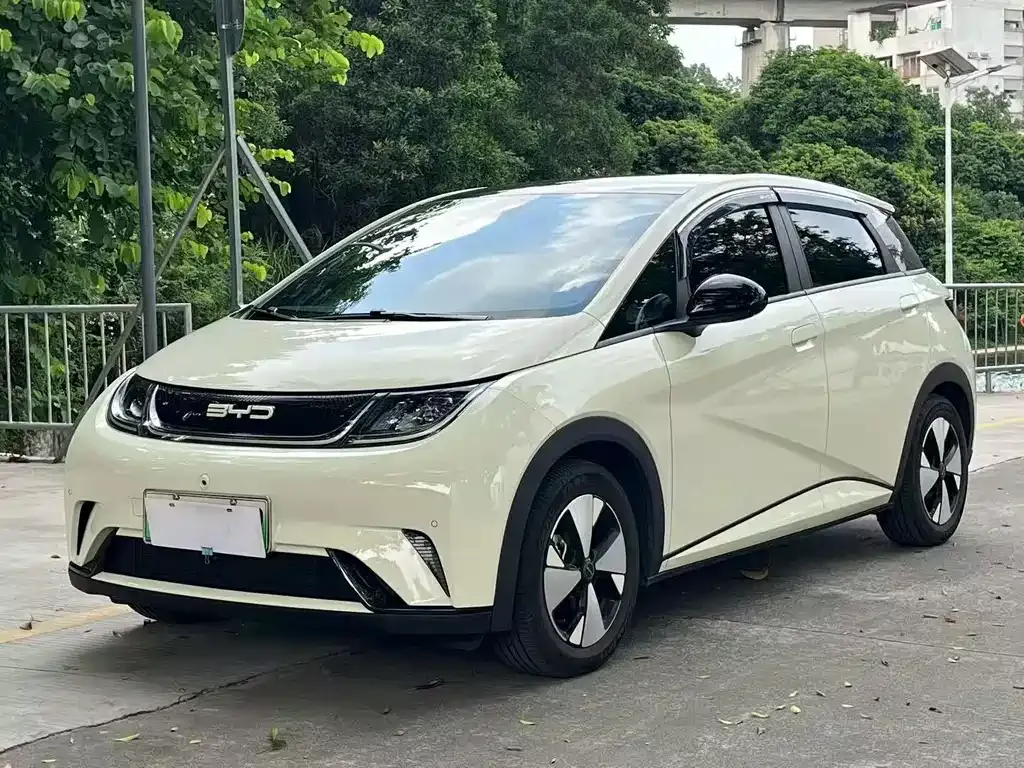 2024 BYD Dolphin Glory 420km Freedom