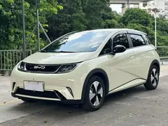 2024 BYD Dolphin Glory 420km Freedom, белый — фото 1