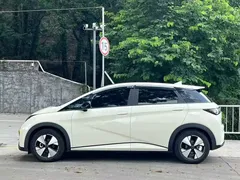 2024 BYD Dolphin Glory 420km Freedom, белый — фото 6