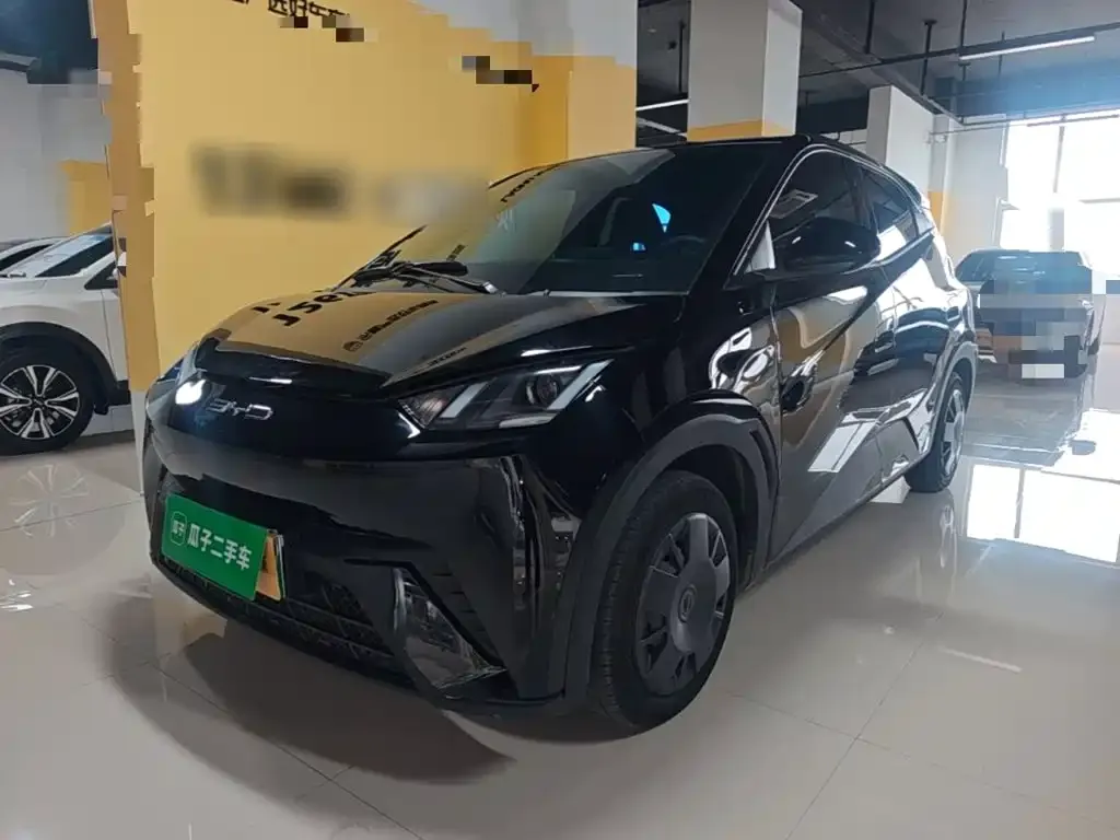 2024 BYD Seagull Honor 305km Vitality
