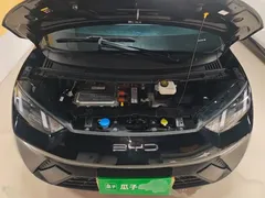 2024 BYD Seagull Honor 305km Vitality, чёрный — фото 20