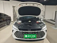 2025 BYD Qin PLUS DM-i PHEV Smart Driving 55km Leading, белый — фото 20