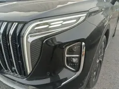 2024 Hongqi HS7 2.0T PHEV 4WD 6, чёрный — фото 24