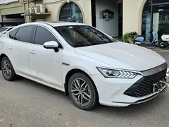 2024 BYD Qin PLUS DM-i 120KM Champion Edition Premium, белый — фото 3
