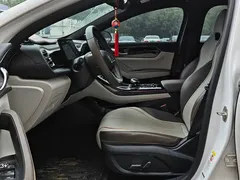 2024 BYD Qin PLUS DM-i 120KM Champion Edition Premium, белый — фото 6