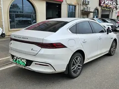 2024 BYD Qin PLUS DM-i 120KM Champion Edition Premium, белый — фото 7