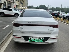 2024 BYD Qin PLUS DM-i 120KM Champion Edition Premium, белый — фото 8
