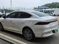 2024 BYD Qin PLUS DM-i 120KM Champion Edition Premium, белый — фото 9