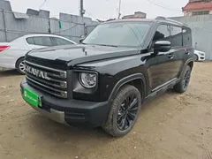 2023 Haval Raptor Hi4 145 PHEV Explorer, чёрный — фото 1