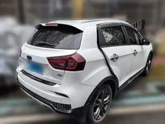 2020 Geely Vision X3 1.5L CVT Elite, белый — фото 6