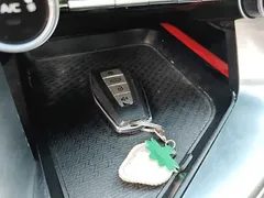 2021 Geely Binrui 1.4T CVT F Sport — фото 9